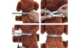 Collare Naturale per Cani Anti-pulci e Zecche Applicazione passo passo di collare naturale antipulci per cani, facile regolazione e taglio per una vestibilità sicura.
