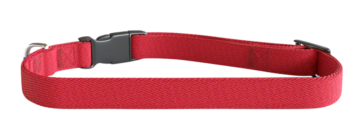 Collare Per Cani Ricamato Collare per cane ricamato rosso, lunghezza 30-46cm, in nylon leggero, personalizzabile con il nome e i dettagli del cane.