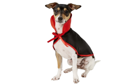 Costume da vampiro per cane in nero e rosso con colletto alto e papillon, set 2-in-1, leggero, resistente e regolabile.