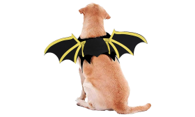 Costume di Halloween Ali di Pipistrello per Cani Costume di Halloween Ali di Pipistrello per Cani