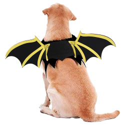 Costume di Halloween Ali di...