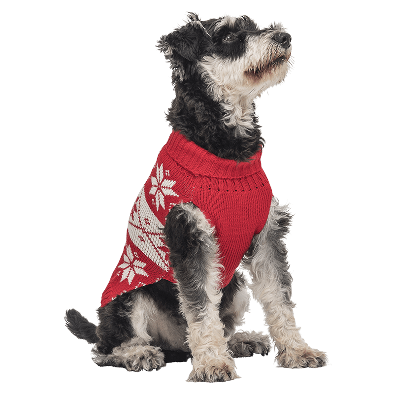 Maglione Invernale Stampato per Cani Maglione invernale rosso per cani con motivo fiocchi di neve bianchi, lavabile, offre calore e stile festivo.