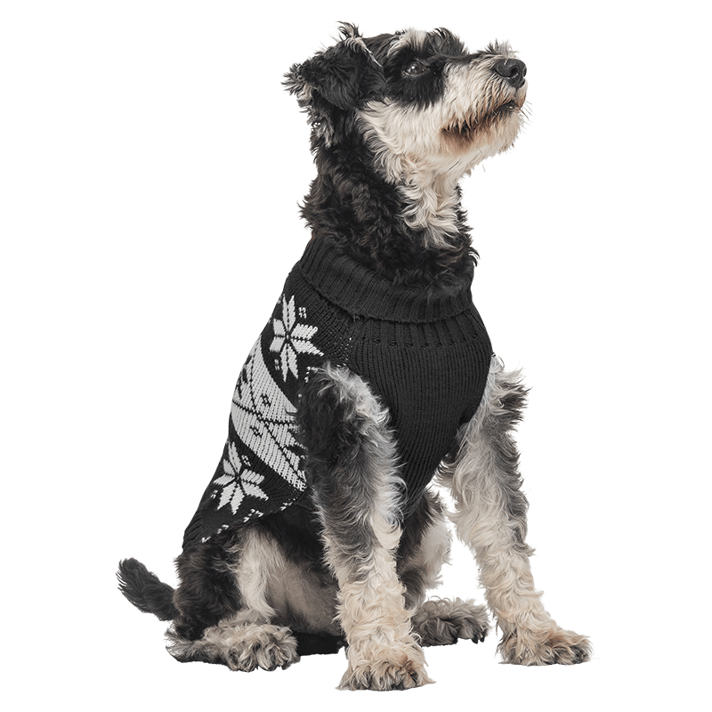 Maglione Invernale Stampato per Cani Maglione invernale nero per cani con motivo fiocchi di neve bianchi, lavabile, offre calore e stile festivo.