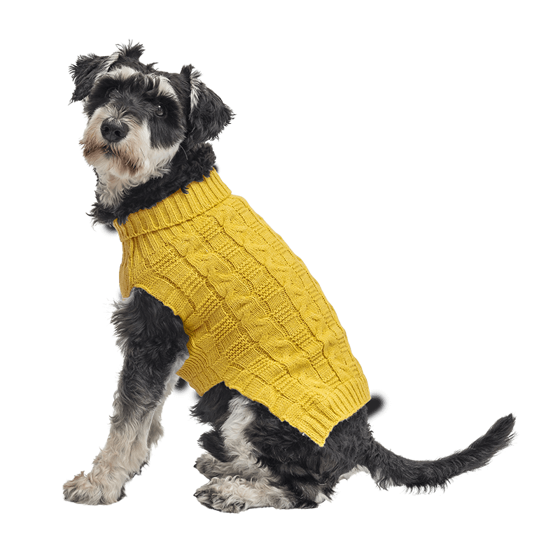 Caldo Maglione in Cotone per Cani Maglione caldo in cotone giallo per cani con motivo a treccia, protezione extra, mantiene i cani al caldo in inverno.