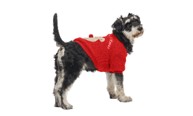 Cappotto Natalizio con Bottoni per Cani Cappotto natalizio rosso per cani con design di orso morbido sulla schiena, con bottoni, lavabile, caldo e stiloso.