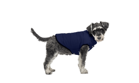 Gilet Invernale Antivento per Cani Gilet invernale antivento blu navy per cani, vestibilità comoda, impermeabile, per calore e protezione nel freddo.