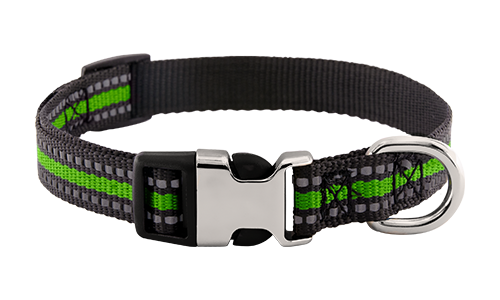 Collare per cane riflettente verde con fibbia metallica incisa, lunghezza 27-40 cm, con D-ring per attacco guinzaglio.