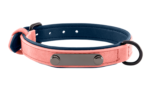 Collare per cane in velluto rosa chiaro con placca ID integrata per incisione del nome, lunghezza 35 - 37 cm, con D-ring.