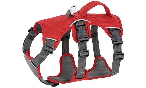 Imbracatura impermeabile rossa per cani con cinturini regolabili, adatta a diversi tipi di cani, con anello argento robusto.
