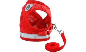 Set di Pettorina e Guinzaglio per Cani in Nylon Riflettente Gilet per cane riflettente rosso con guinzaglio abbinato, leggero, tessuto traspirante per una vestibilità comoda.