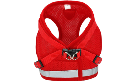 Set di Pettorina e Guinzaglio per Cani in Nylon Riflettente Gilet per cane riflettente rosso con guinzaglio abbinato, leggero, regolabile per una vestibilità comoda e sicura.