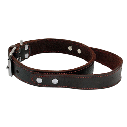 Collare per cane in pelle marrone con manico rapido, resistente e robusto, con fibbia metallica regolabile.
