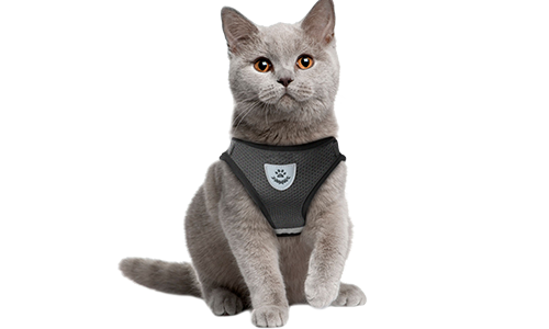 Gilet per gatto riflettente nero con guinzaglio abbinato, pratico, con tessuto in rete traspirante e guinzaglio di 120 cm.