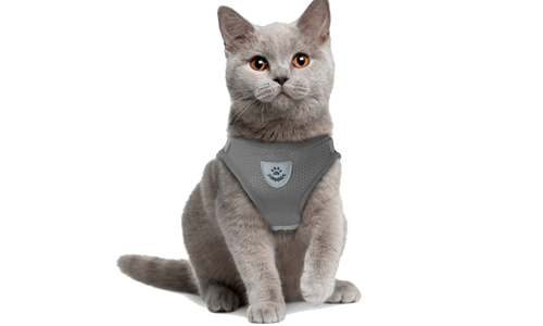 Gilet per gatto riflettente grigio con guinzaglio abbinato, pratico, con tessuto in rete traspirante e guinzaglio di 120 cm.