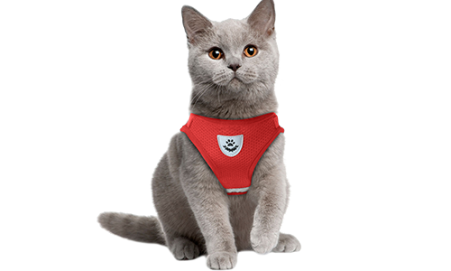 Gilet per gatto riflettente rosso con guinzaglio abbinato, pratico, con tessuto in rete traspirante e guinzaglio di 120 cm.