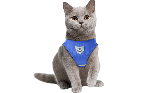 Gilet per gatto riflettente blu con guinzaglio abbinato, pratico, con tessuto in rete traspirante e guinzaglio di 120 cm.