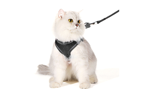 Gilet per gatto riflettente nero con guinzaglio abbinato, regolabile e leggero, guinzaglio da 140 cm, visibilità.