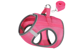 Gilet con Guinzaglio Riflettente per Gatti Gilet per gatto riflettente rosa con guinzaglio abbinato, regolabile e leggero, guinzaglio da 140 cm, visibilità e comfort.