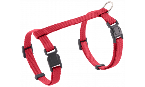 Collare per gatto rosso con cinturini regolabili e D-ring in metallo resistente per guinzaglio, sicuro e comodo.