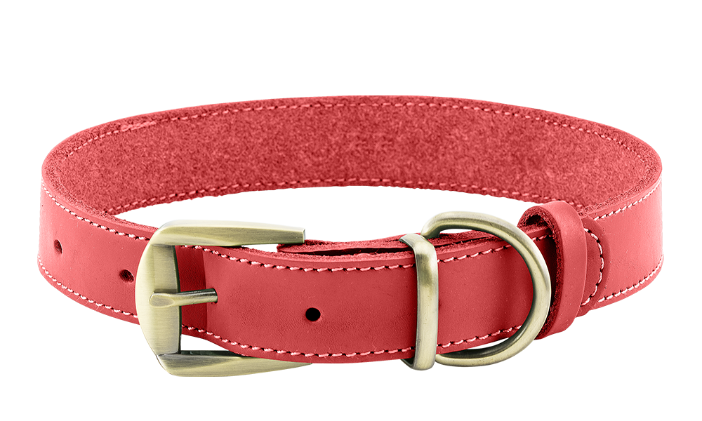 Lussuoso Collare per Cani in Pelle Vera Collare per cane in pelle genuina rossa di lusso, durevole e resistente, materiale di alta qualità, con fibbia.