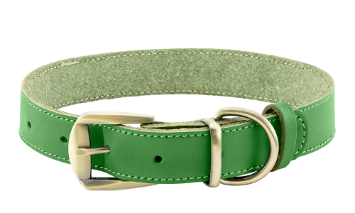 Collare per cane in pelle genuina verde di lusso, durevole e resistente, materiale di alta qualità, con fibbia.