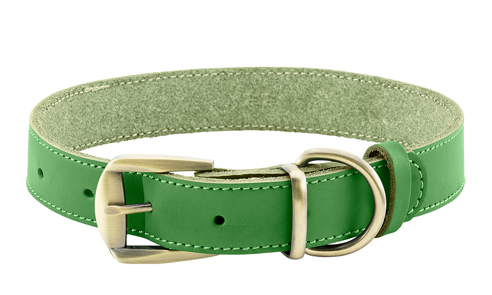 Lussuoso Collare per Cani in Pelle Vera Collare per cane in pelle genuina verde di lusso, durevole e resistente, materiale di alta qualità, con fibbia.