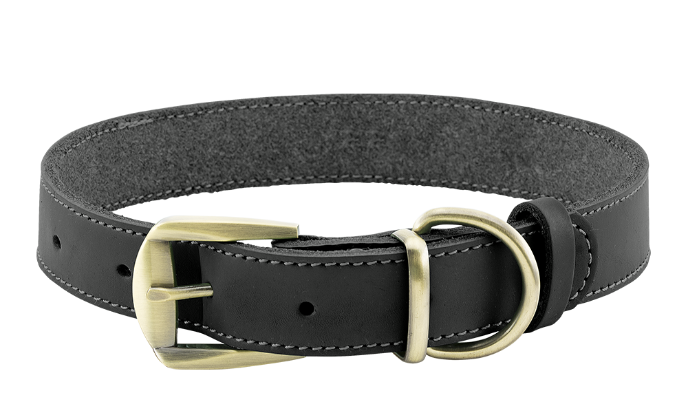 Lussuoso Collare per Cani in Pelle Vera Collare per cane in pelle genuina nera di lusso, durevole e resistente, materiale di alta qualità, con fibbia.