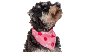 Bandana per Cani Con Love Stampati Bandana rosa per cane con testo 'LOVE', cuori rossi e baci, perfetta per San Valentino, cotone di alta qualità per comfort.