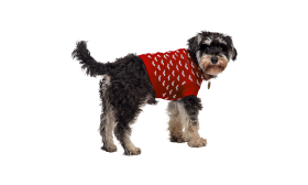 Maglia con Cuori Stampati per Cani e Gatti Cane con maglione rosso con motivi a cuore bianchi, lavabile in lavatrice e a mano per una facile manutenzione.