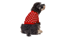 Maglia con Cuori Stampati per Cani e Gatti Cane con maglione rosso con motivi a cuore bianchi, perfetto per le avventure in movimento.
