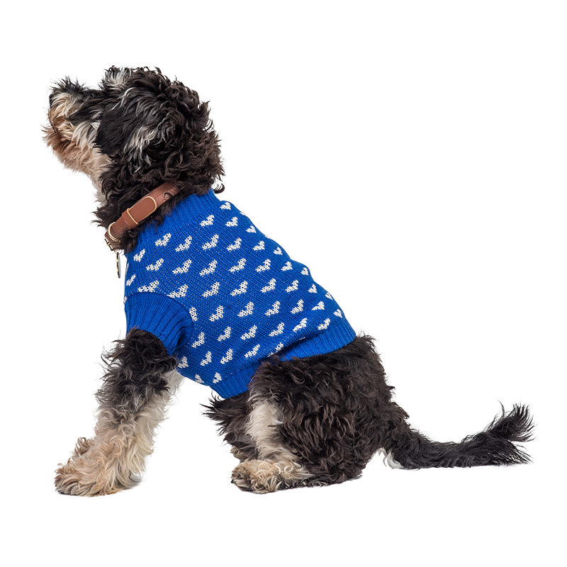 Maglia con Cuori Stampati per Cani e Gatti Cane con maglione blu con motivi a cuore bianchi, perfetto per calore e stile durante le stagioni più fredde.
