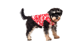 Gilet per Cani per il Vestito di San Valentino Cane con gilet rosso a tema San Valentino, cuore rosso e bianco, lavabile in lavatrice e a mano per una facile pulizia.
