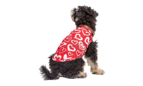 Gilet per Cani per il Vestito di San Valentino Cane con gilet rosso a tema San Valentino, cuore rosso e bianco, un outfit festivo e stiloso per il tuo cucciolo.