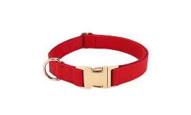 Set Pettorina con Collare e Guinzaglio Kit per imbracatura per cane rosso con collare e guinzaglio abbinati, leggero, resistente e durevole, accessorio alla moda.