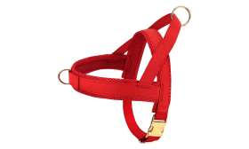 Set Pettorina con Collare e Guinzaglio Kit per imbracatura per cane rosso con collare e guinzaglio abbinati, leggero, con fibbie in metallo dorato e D-ring.