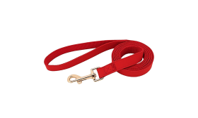 Set Pettorina con Collare e Guinzaglio Kit per imbracatura per cane rosso con collare e guinzaglio abbinati, leggero, fibbia dorata, regolabile.