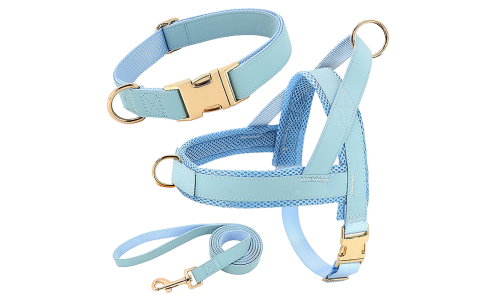 Kit per imbracatura per cane azzurro con collare e guinzaglio abbinati, leggero, resistente, comodo e sicuro.