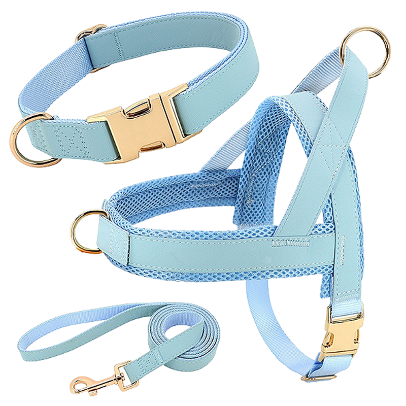 Set Pettorina con Collare e Guinzaglio Kit per imbracatura per cane azzurro con collare e guinzaglio abbinati, leggero, resistente, comodo e sicuro.