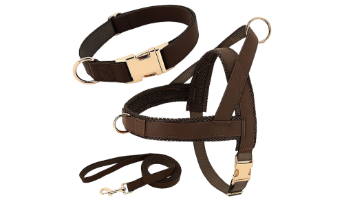 Kit per imbracatura per cane marrone con collare e guinzaglio abbinati, leggero, resistente e durevole, comodo e sicuro.