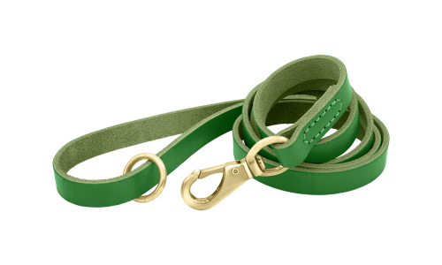 Guinzaglio per cane in pelle verde di lusso, lunghezza 150 cm, comodo, con fibbia e anello dorato per durata.