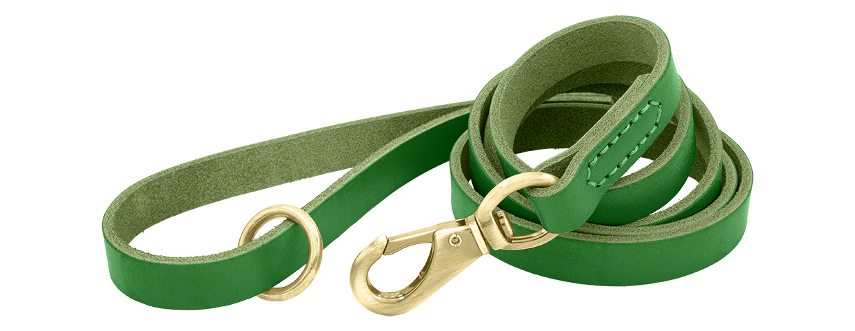 Guinzaglio di Lusso per Cani in Vera Pelle Guinzaglio per cane in pelle verde di lusso, lunghezza 150 cm, comodo, con fibbia e anello dorato per durata.