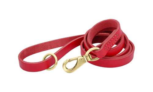 Guinzaglio per cane in pelle rossa di lusso, lunghezza 150 cm, comodo, con fibbia e anello dorato per durata.