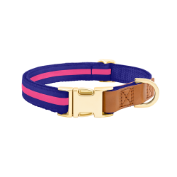 Collare per cane blu con fibbia metallica dorata regolabile, lunghezza 27-40 cm, con D-ring per attacco guinzaglio.