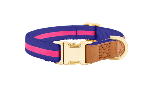 Collare per cane blu con fibbia metallica dorata regolabile, lunghezza 33-55 cm, con D-ring per attacco guinzaglio.
