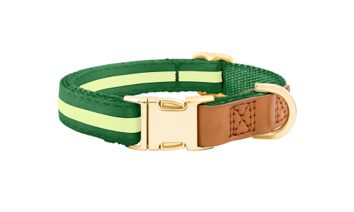 Collare per cane verde con fibbia metallica dorata regolabile, lunghezza 27-40 cm, con D-ring per attacco guinzaglio.