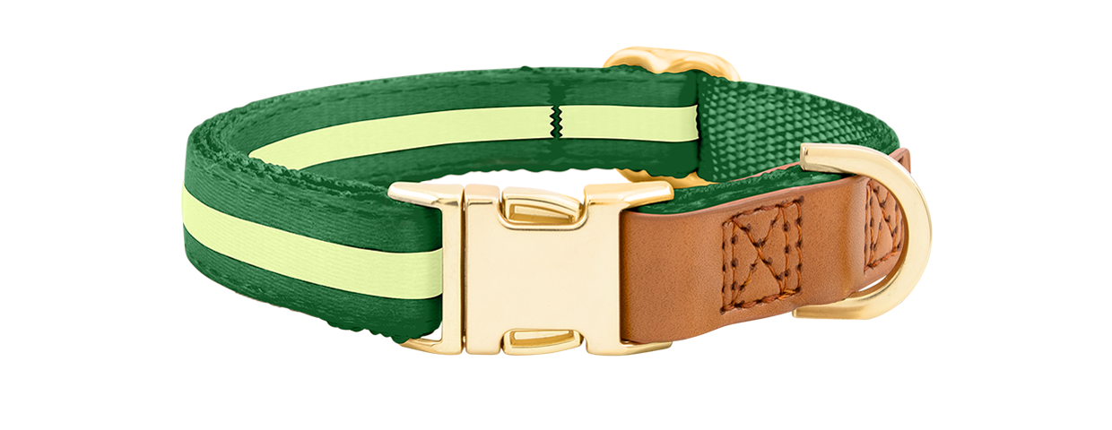 Collare per Cane con Fibbia Dorata Collare per cane verde con fibbia metallica dorata regolabile, lunghezza 27-40 cm, con D-ring per attacco guinzaglio.