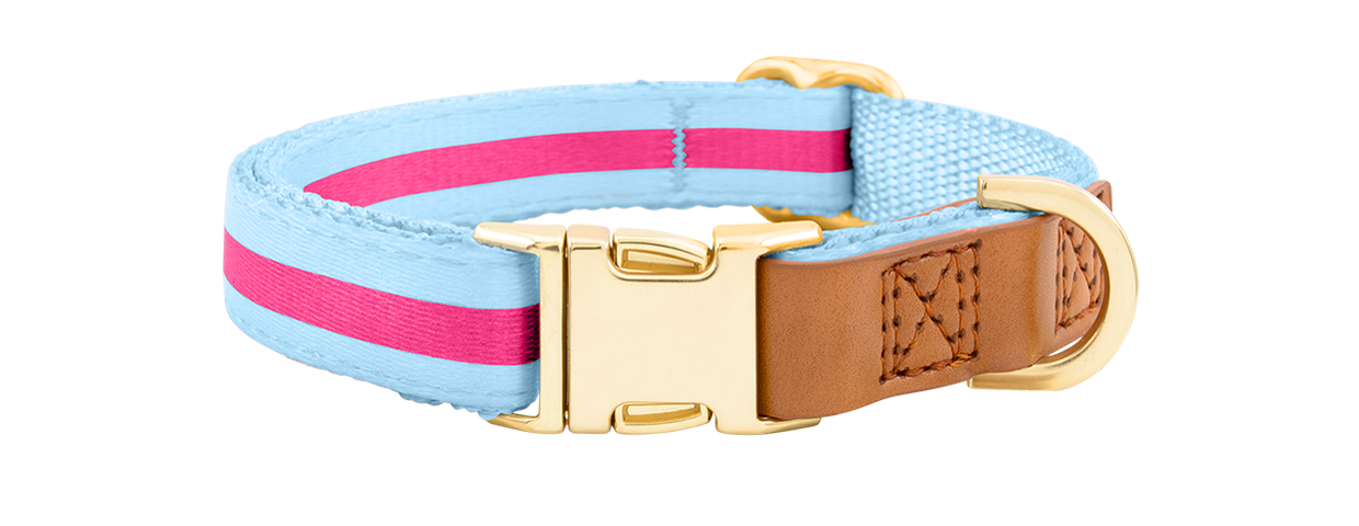Collare per Cane con Fibbia Dorata Collare per cane azzurro con fibbia metallica dorata regolabile, lunghezza 27-40 cm, con D-ring per attacco guinzaglio.