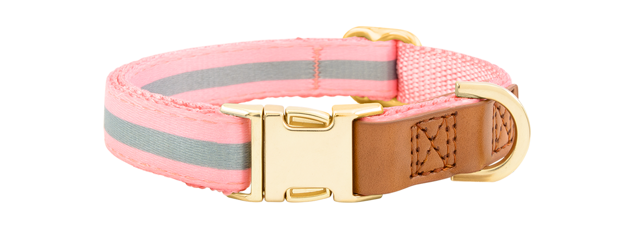 Collare per Cane con Fibbia Dorata Collare per cane rosa con fibbia metallica dorata regolabile, lunghezza 27-40 cm, con D-ring per attacco guinzaglio.