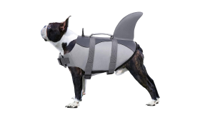 Simpatico Giubbotto Salvagente per Cani Giubbotto salvagente per cane a tema squalo con cinturini sicuri, per sicurezza e galleggiamento.