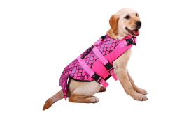 Simpatico Giubbotto Salvagente per Cani Giubbotto salvagente per cane a tema sirena in rosa con scaglie, per galleggiamento.